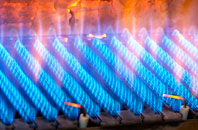 Beddgelert gas fired boilers